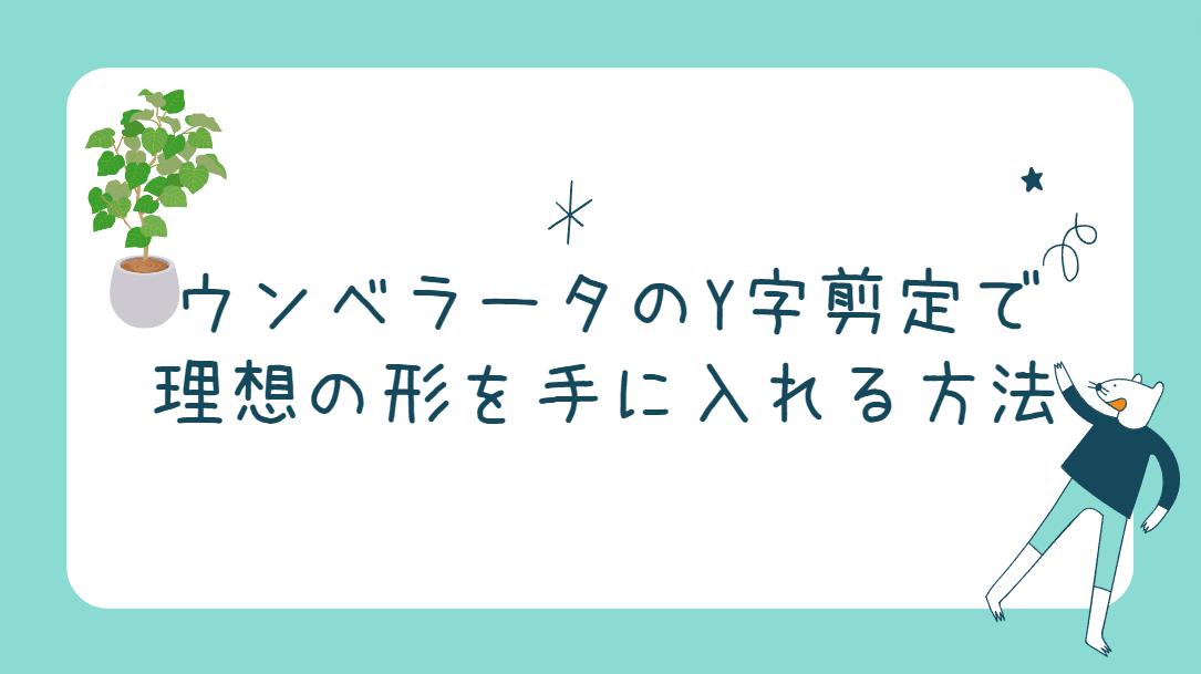 ウンベラータのY字剪定で理想の形(樹形)を手に入れる方法